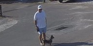 Police seek identity of man after dog bite incident in Essex
