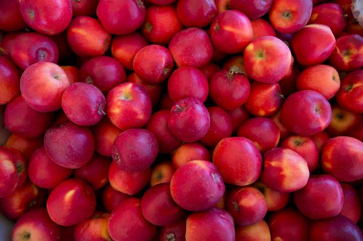 Oregon Heritage Farms closes after 28 years