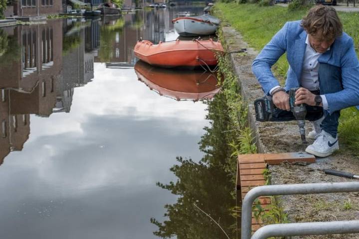 Dutch Cities Are Building These Tiny Staircases to Help Cats Exit Their Canals