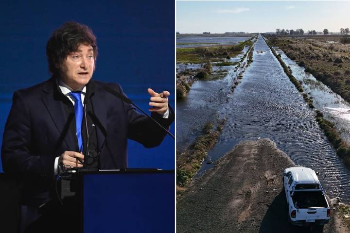 Desesperada carta abierta de productores a Javier Milei por las inundaciones
