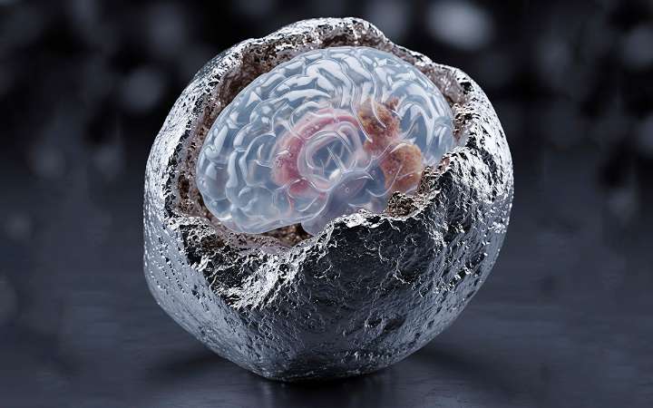 Un mineral en la mira: nuevas pistas para tratar el Alzheimer