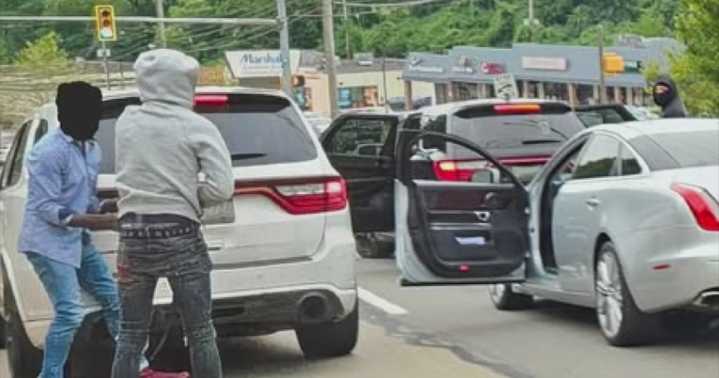 Police searching for suspects in armed carjacking near Greentree Shopping Center