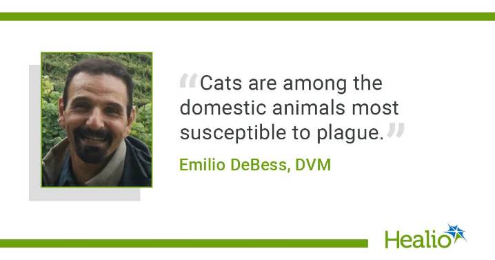 Oregon man got plague from his cat