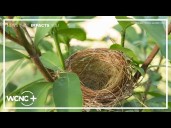 How to cope with empty nest syndrome