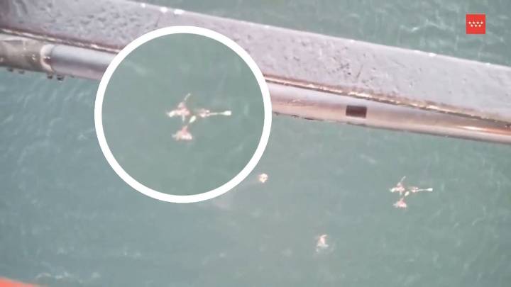 Vídeo | Rescatadas 19 personas tras caer a un embalse por una fuerte racha de viento mientras hacían kayak