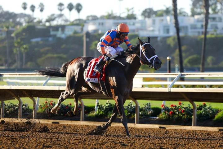 Journalism comes in second in Del Mar's $1 million race after morning-line favorite Nysos is scratched with a minor injury