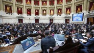 Cómo votó cada diputado el rechazo al veto a la ley de emergencia en discapacidad