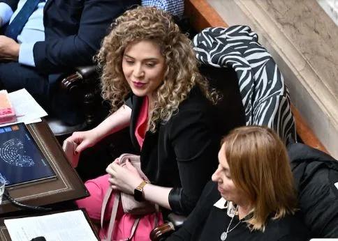Se volvió a romper el oficialismo: cuatro ex libertarios formarán el bloque “Coherencia”