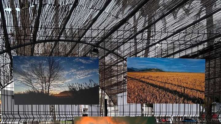 Roban 25 fotografías de una exposición al aire libre en Cullera