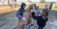 Academy at the Farm instills confidence in kids with lessons in animal care
