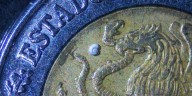 El hallazgo que está sorprendiendo al mundo: el caracol de agua dulce más pequeño vive en México