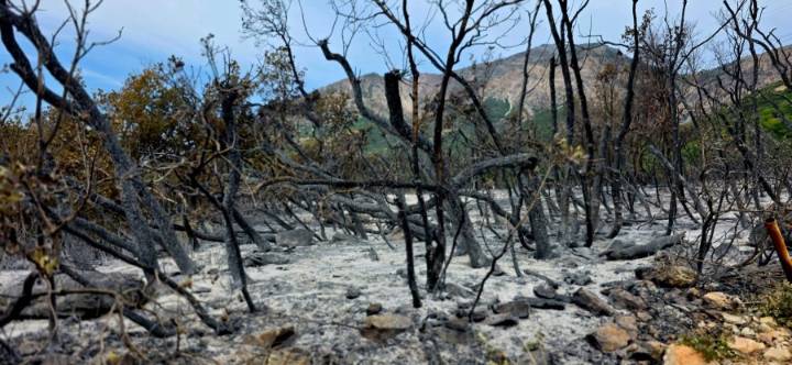 Extinguished Willard Peak Fire raises flooding concerns