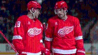 3 questions facing Detroit Red Wings