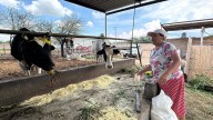 Gobierno de la Capital entrega alimento para ganado a productores rurales del municipio