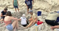 Hurricane Erin never hit land or caused major damage, but endangered turtle nests weren't so lucky