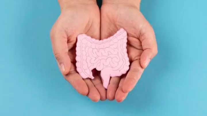 Investigadores descubren el 'dúo mortal' en el intestino que multiplica por cinco el riesgo de cáncer