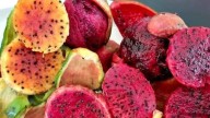 Feria de la Pitaya en Tepalcingo amplía sus actividades tres días