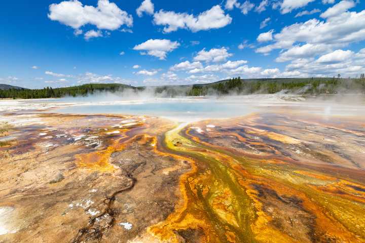 Yellowstone shares bingo cards for an 'unforgettable experience'