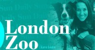 London Zoo: Largest mammal migration in the world
