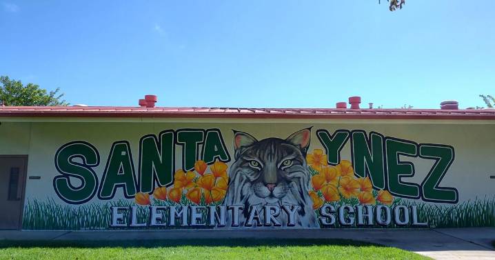 College School District kicks off new year with murals, play upgrades, BMX show