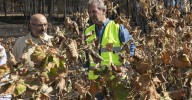 Los daños en las viñas: “Perdemos 100.000 kilos”