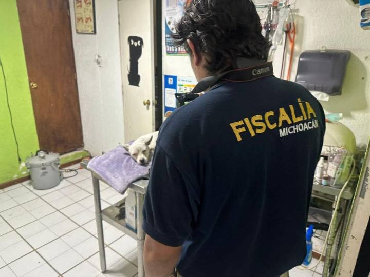 Investiga Fiscalía General hechos registrados al Norte de Morelia, por el delito de crueldad animal