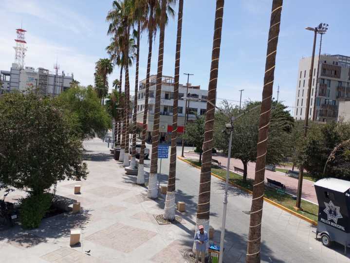 Proyectan ampliar alumbrado decorativo del Paseo Morelos hasta la Plaza de Armas