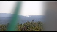 Wildfire burns 30 acres in Coconino National Forest