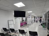 Reforma electoral de Sheinbaum: ex presidentes del INE y ex consejeros llaman a que iniciativa tenga consenso nacional