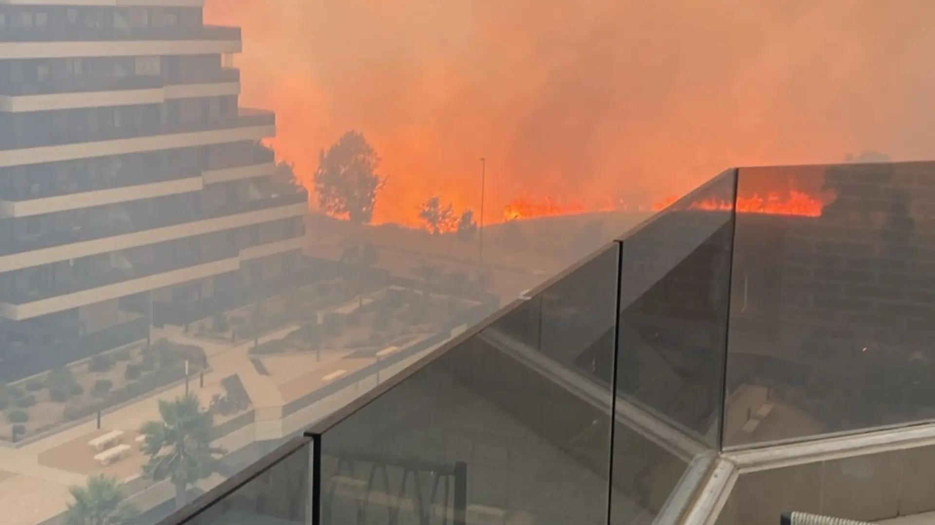 Incendio en Tres Cantos: las llamas se propagan rápidamente por las fuertes rachas de viento