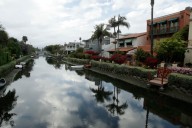 5 dogs dead, 26 suspected cases as officials probe Venice Canals mystery illness