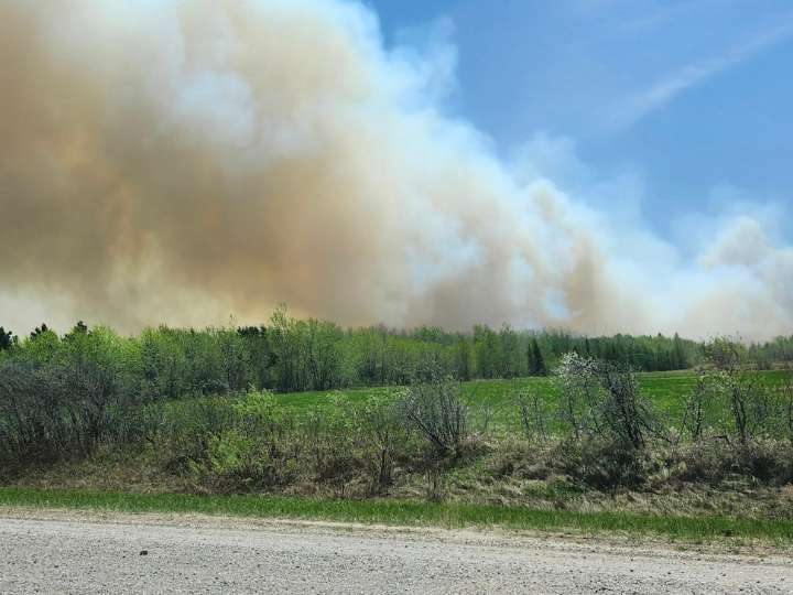 Fire Bulletin #61 - Low fire danger in majority of the province