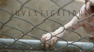 ‘Dog Rescue’ in Mayfield Under Investigation for Animal Cruelty