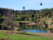 Cabárceno refuerza la seguridad tras el acceso indebido de una familia al recinto de los lobos