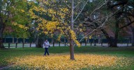 Will Louisiana fall be cool? What NOAA, Farmer's Almanac say