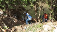 Acuerdan con la Alcaldesa de Mazatlán que no habrá tala ni poda de mangle en el Arroyo Jabalines