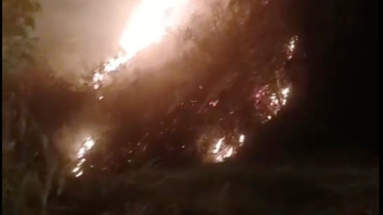 Incendio forestal se registró en el sector de Patio Bonito, en Cali; Bomberos atendieron la emergencia