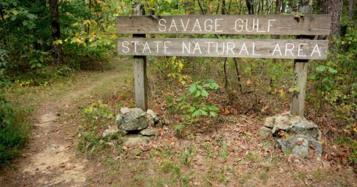 Hiker dies after being bitten by venomous snake, officials say