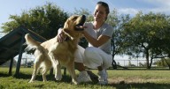 People often miscalculate climate choices, a study says. One surprise is owning a dog