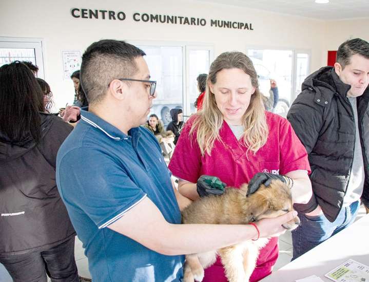 Nueva jornada de adopción responsable de mascotas