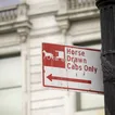 Queens lawmaker renews push to ban horse-drawn carriages after horse's death