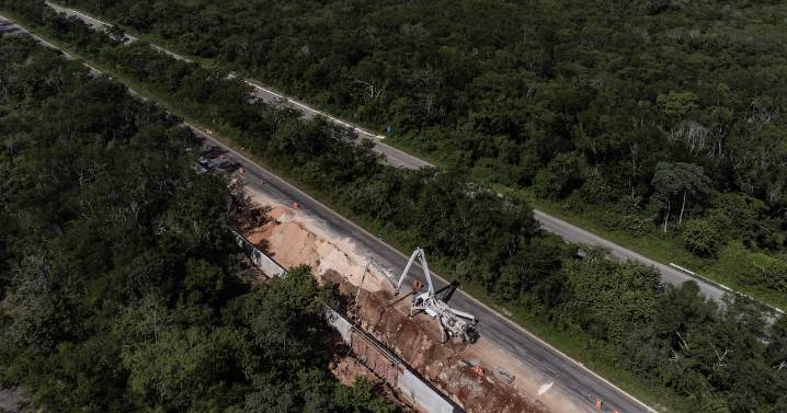 El Renacimiento del campo yucateco: de la tierra al mar.
