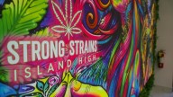 Legal challenges for Brookhaven's only recreational pot shop