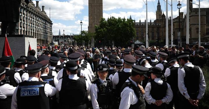 Hundreds of people face arrest at Palestine Action march on Saturday
