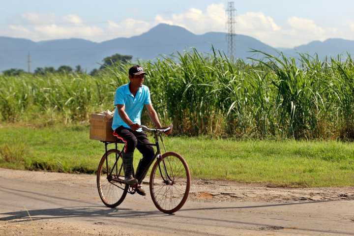 La zafra azucarera cubana no alcanza las 150.000 toneladas, la peor en más de un siglo