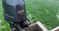 A New Approach Didn’t Curb the Spread of a Toxic Algae Bloom Down the Willamette River