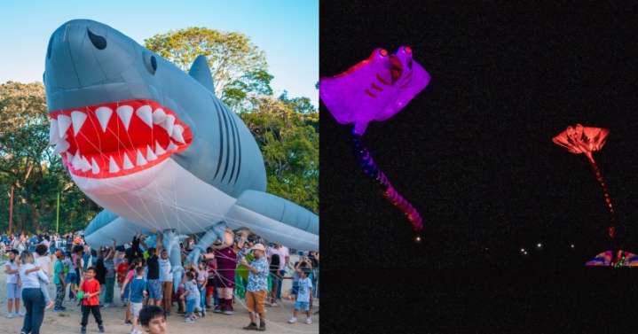 Más de 7.000 tolimenses participaron del Festival de Cometas Al Aire de ComfaTolima