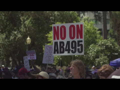Protests against a bill related to temporary guardianship and caregiver arrangements for children