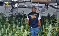Detienen a un vecino pacense por cultivar marihuana en su casa
