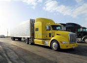 Suspenden visas a camioneros extranjeros.